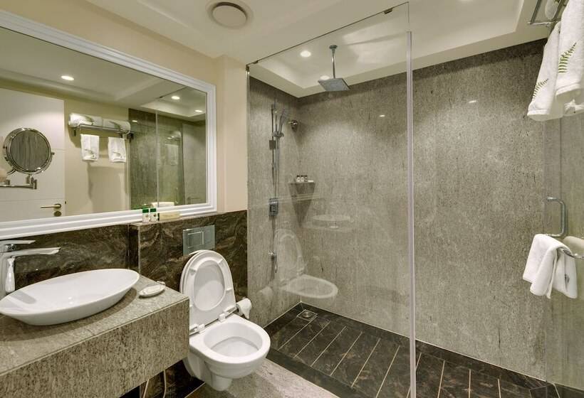 标准间, Amanora The Fern Hotels & Club