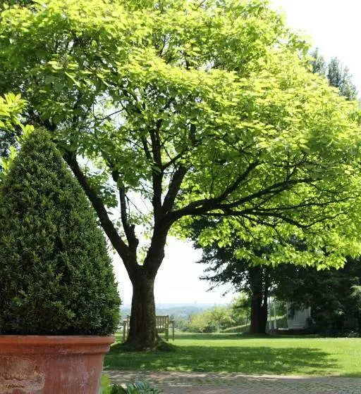 Standard-huone, Boutique Hotel Villa De Proosdij