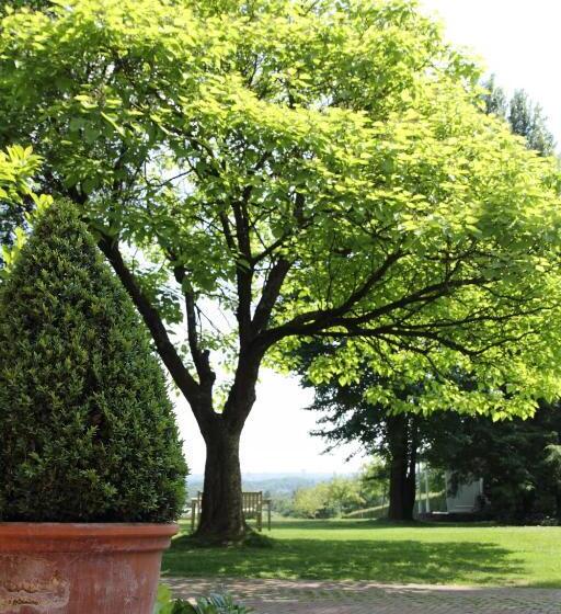 غرفة قياسية مزوَّدة بتراس, Boutique Hotel Villa De Proosdij