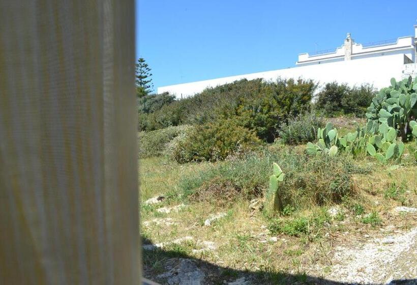 스탠다드 스튜디오, Incanto Delle Ninfe