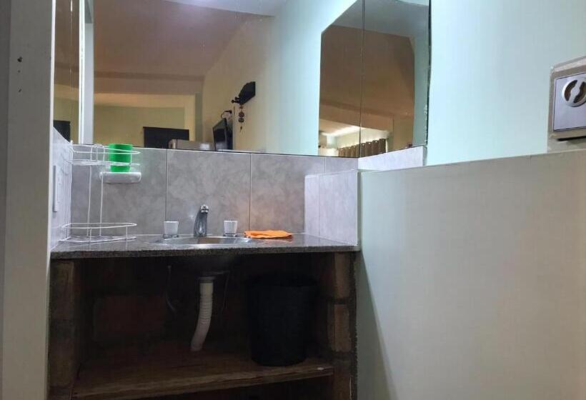 Четырехместный Номер Стандарт, Apart Eva Luna Departamentos Y Habitaciones Con Baño Privado