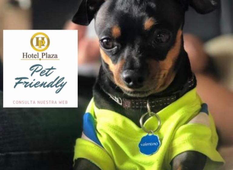 سوییت, Plaza Ca