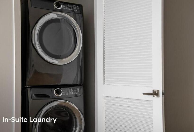 스탠다드 스튜디오, Sonder At North Loop Green