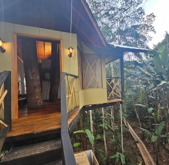 ガーデンビュースタンダードルーム, Buru Nature