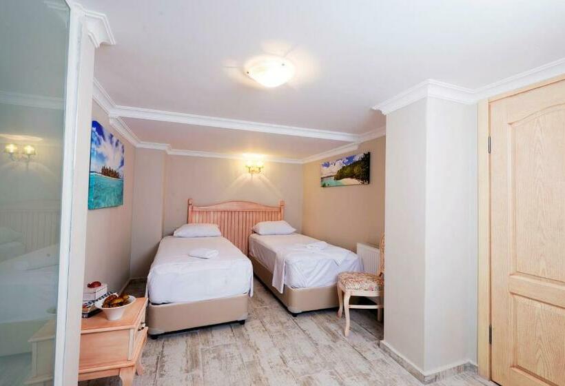 חדר אקונומי, Belizi