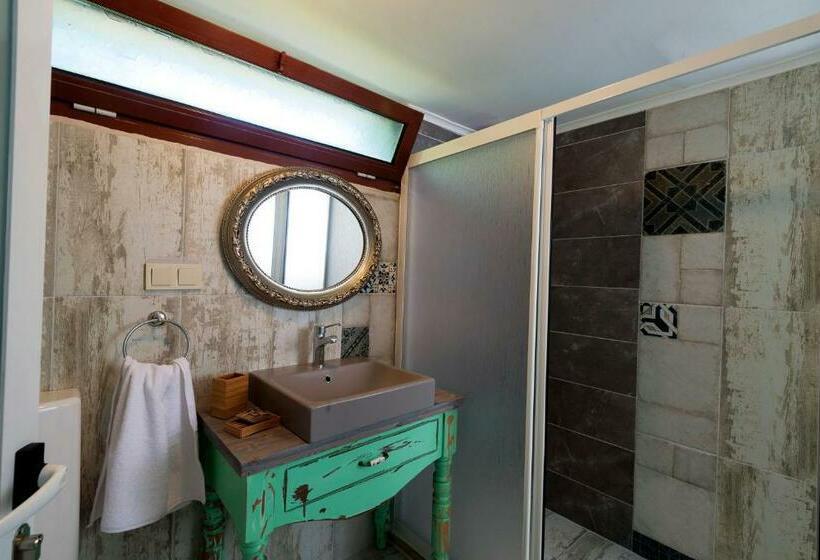 חדר אקונומי, Belizi