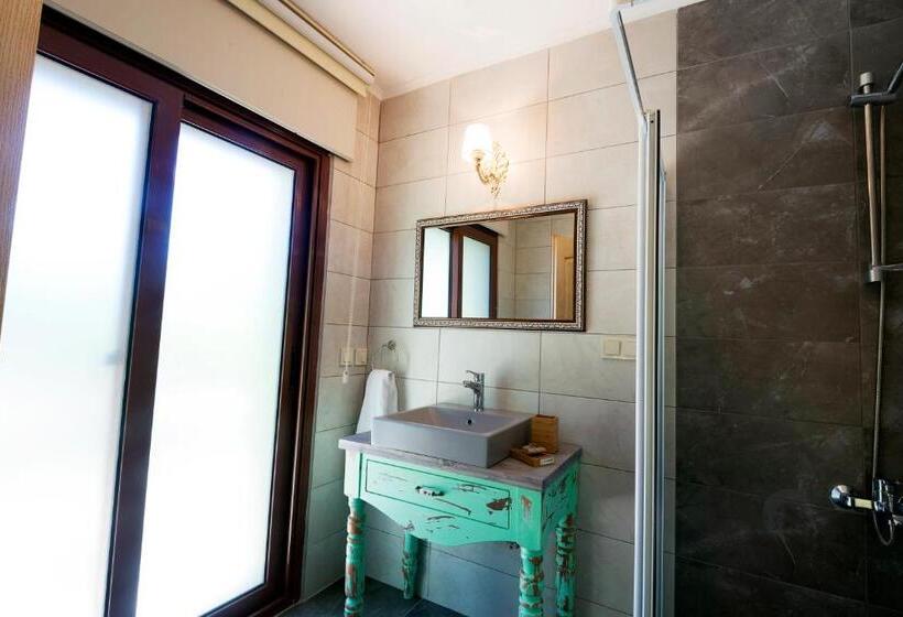 חדר סטנדרט עם מרפסת, Belizi