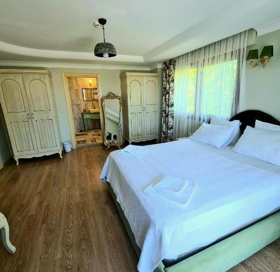 חדר דלוקס נוף לים, Belizi