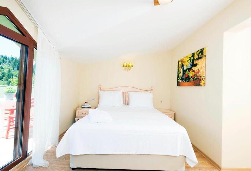 חדר דלוקס נוף לים, Belizi