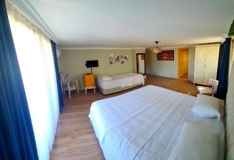 חדר דלוקס עם מרפסת נוף לים, Belizi