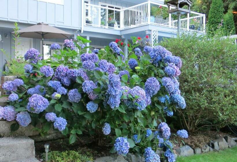 Tengerre Néző Standard Szoba, Caprice