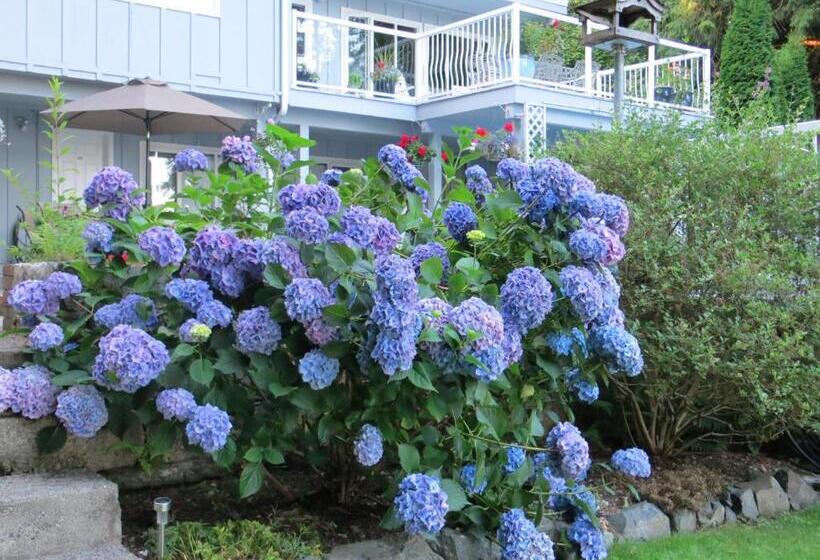 Tengerre Néző Standard Négyágyas Szoba, Caprice