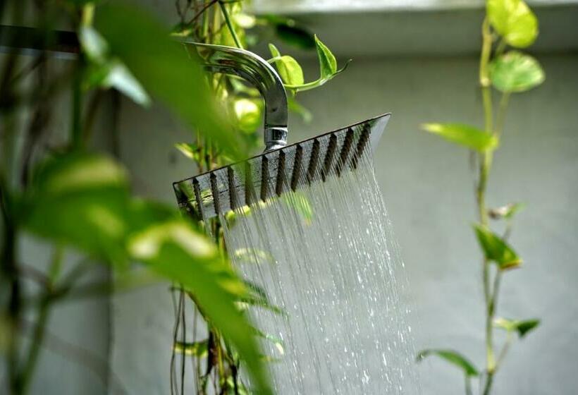 スタンダードルーム, Dreamtime Sri Lanka