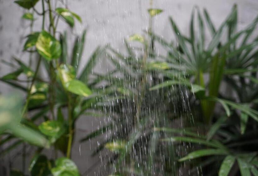 スタンダードルーム, Dreamtime Sri Lanka