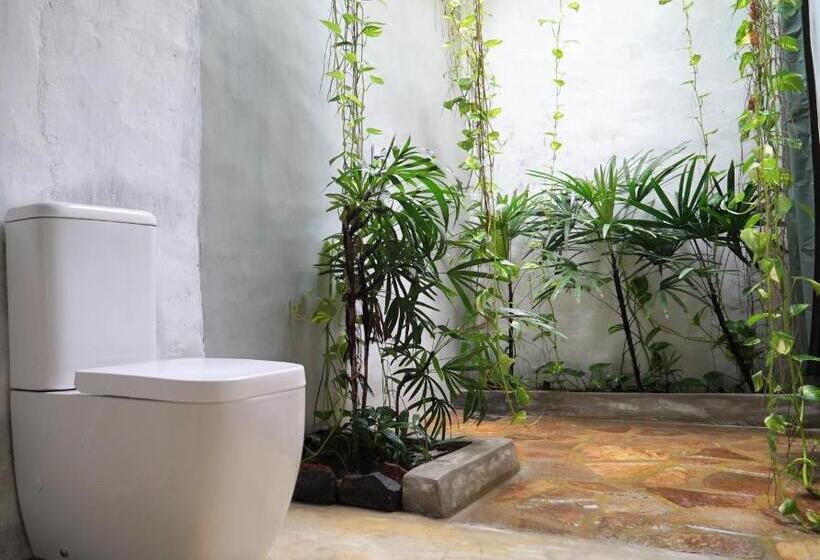 スタンダードルーム, Dreamtime Sri Lanka