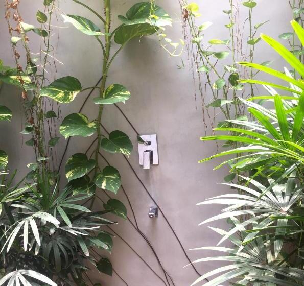 スタンダードルーム, Dreamtime Sri Lanka