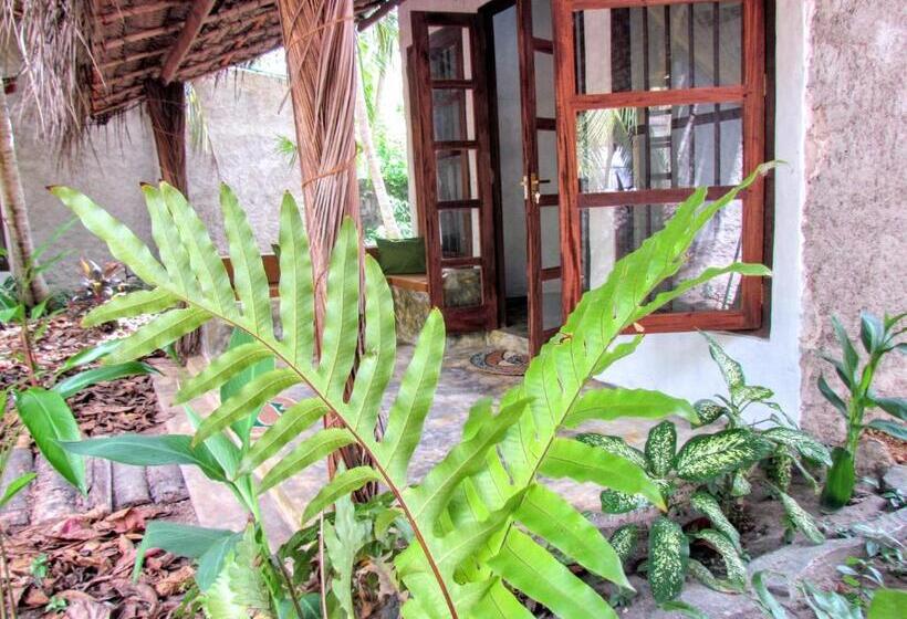 スタンダードルーム, Dreamtime Sri Lanka