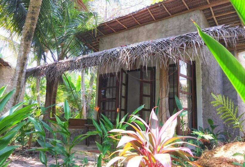 スタンダードルーム, Dreamtime Sri Lanka