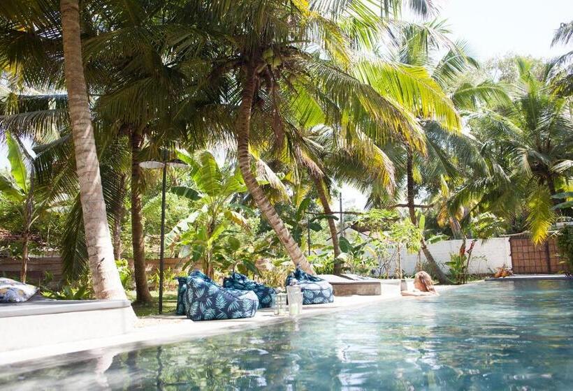 エコノミールーム, Dreamtime Sri Lanka