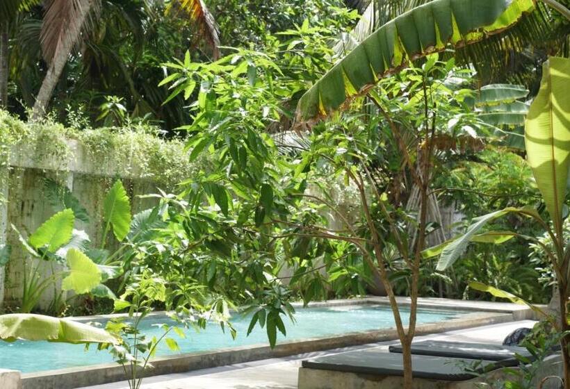 エコノミールーム, Dreamtime Sri Lanka