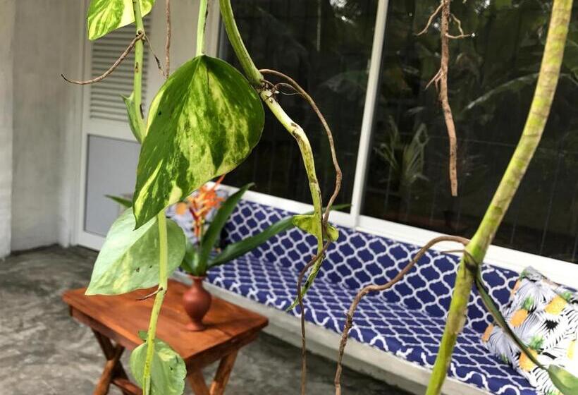 エコノミールーム, Dreamtime Sri Lanka