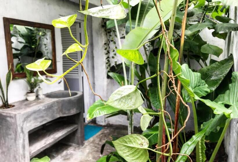 エコノミールーム, Dreamtime Sri Lanka