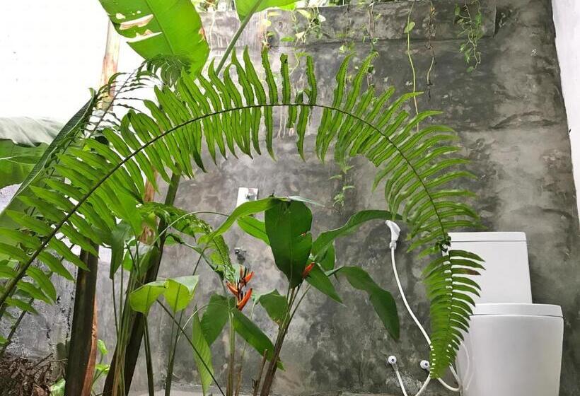 エコノミールーム, Dreamtime Sri Lanka