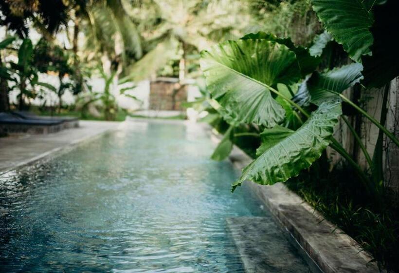 キングサイズベッドのスタンダードルーム, Dreamtime Sri Lanka