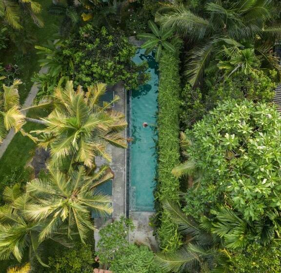 スタンダードルーム, Dreamtime Sri Lanka