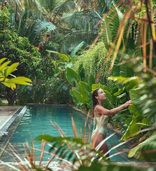 エコノミールーム, Dreamtime Sri Lanka