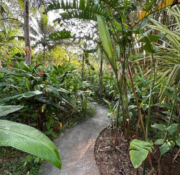 エコノミールーム, Dreamtime Sri Lanka