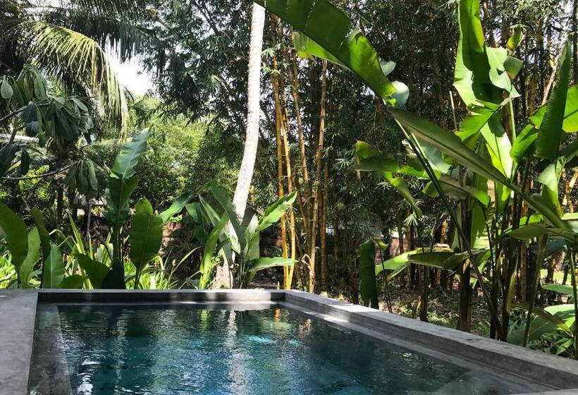 キングサイズベッドのスタンダードルーム, Dreamtime Sri Lanka