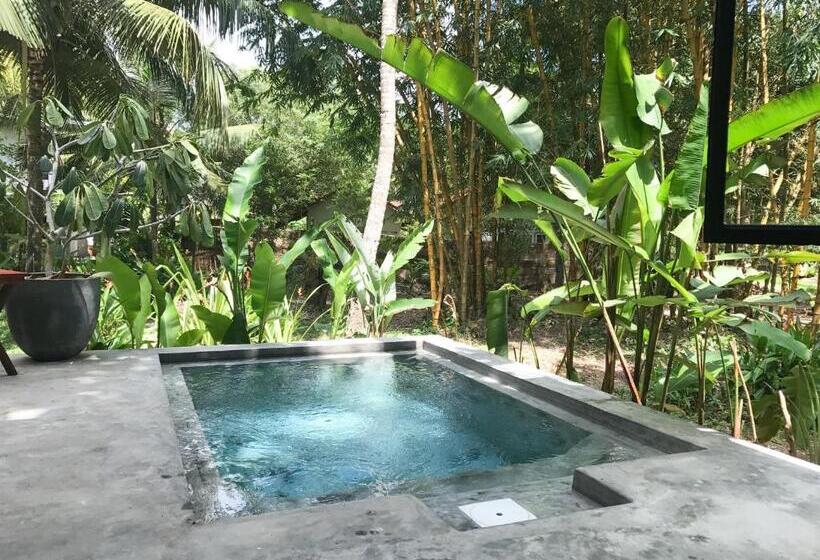 キングサイズベッドのスタンダードルーム, Dreamtime Sri Lanka