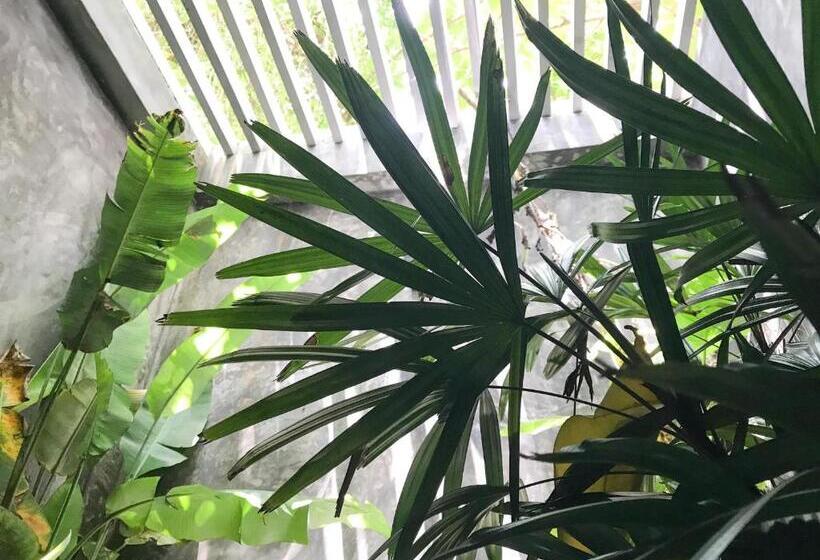 キングサイズベッドのスタンダードルーム, Dreamtime Sri Lanka