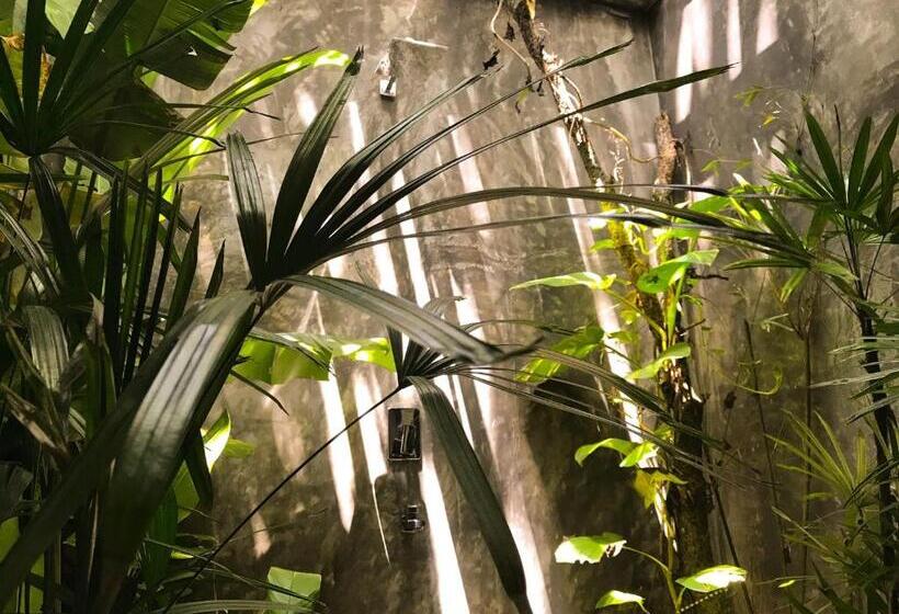 キングサイズベッドのスタンダードルーム, Dreamtime Sri Lanka