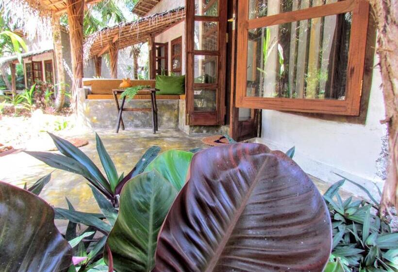 スタンダードルーム, Dreamtime Sri Lanka