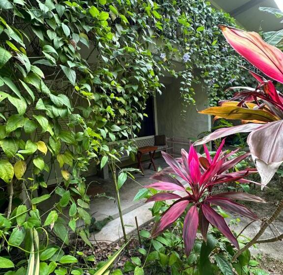 エコノミールーム, Dreamtime Sri Lanka