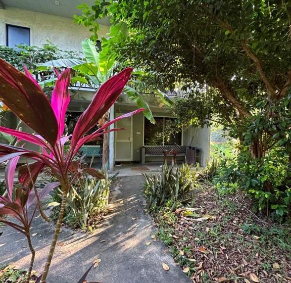 エコノミールーム, Dreamtime Sri Lanka