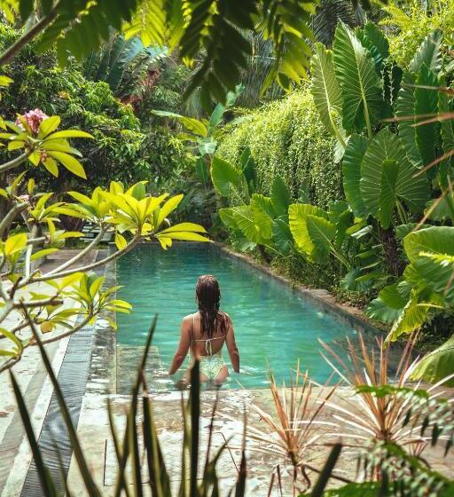 キングサイズベッドのスタンダードルーム, Dreamtime Sri Lanka