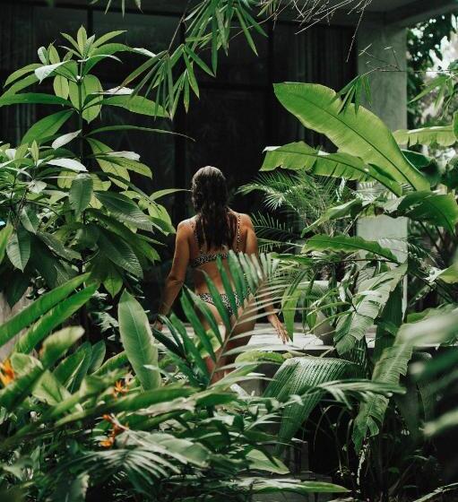 キングサイズベッドのスタンダードルーム, Dreamtime Sri Lanka