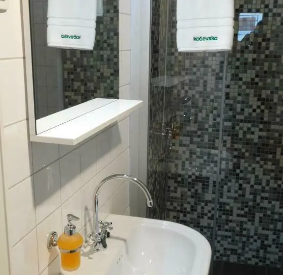 اتاق استاندارد, Hostel Bearlog Kočevje