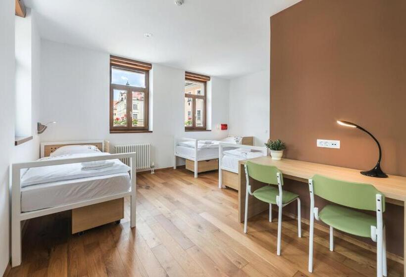 اتاق استاندارد سه نفره, Hostel Bearlog Kočevje