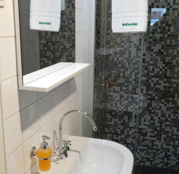 اتاق استاندارد برای معلولان, Hostel Bearlog Kočevje