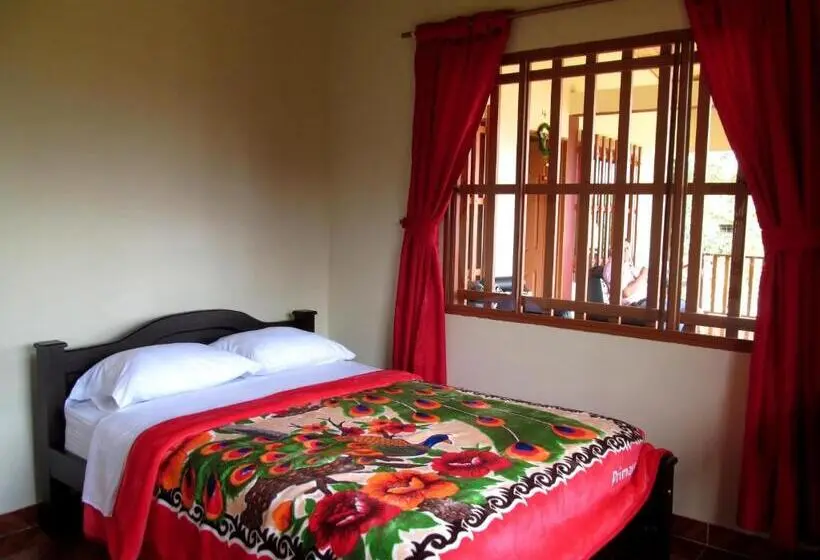 Standard-huone, Hospedaje Y Camping Buena Vista