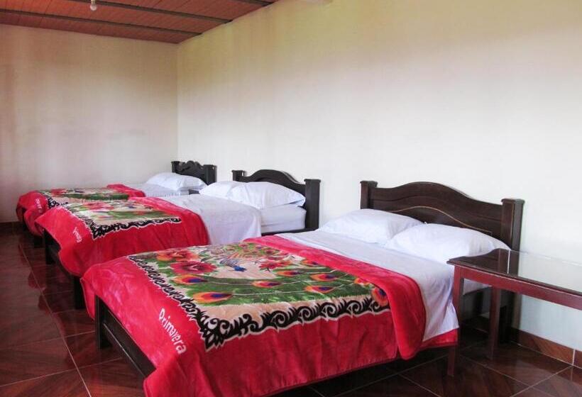 اتاق خانوادگی, Hospedaje Y Camping Buena Vista