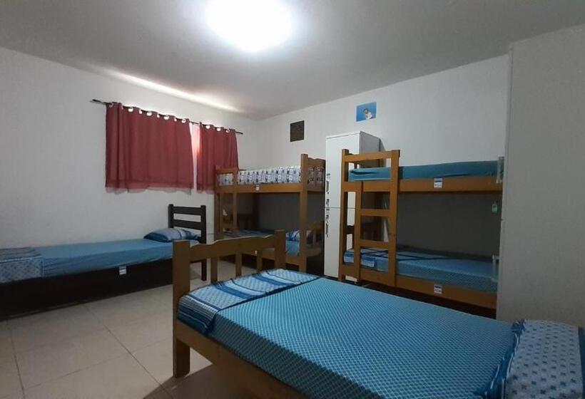 Yatak Paylaşımlı Oda, Lodge Hostel Piracicaba