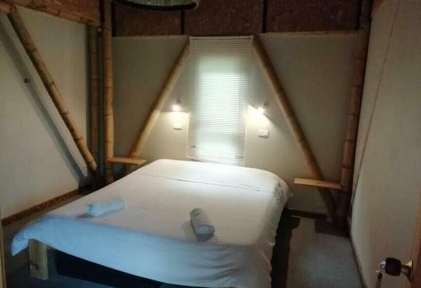 スタンダードルーム, Casa Mochila