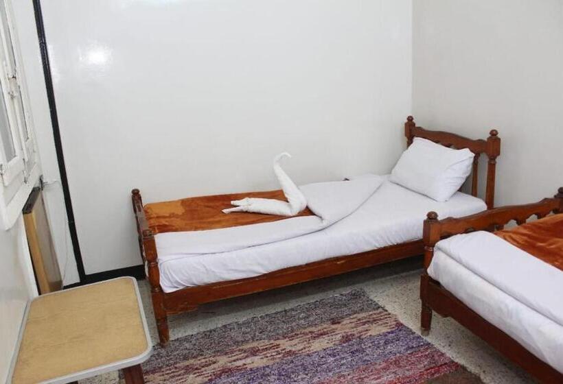 اتاق استاندارد با سرویس بهداشتی مشترک, Happy Land Luxor