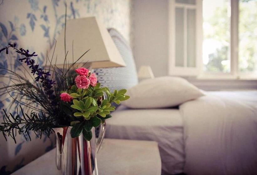 デラックススイート, Alquimista Montevideo