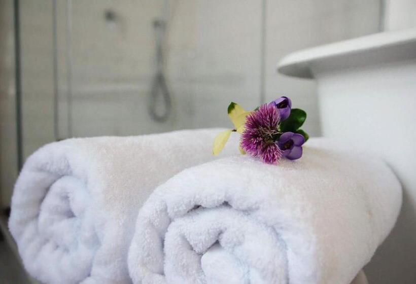 デラックススイート, Alquimista Montevideo